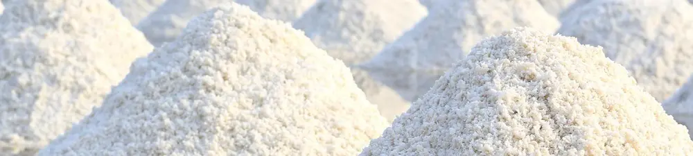 Premium Salt manufacturer & exporter from India